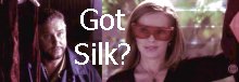 gotsilk.jpg